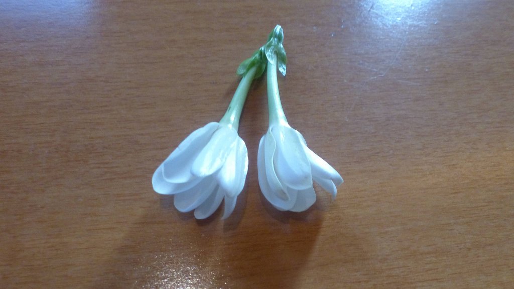 03 - Fleurs de tiare .JPG