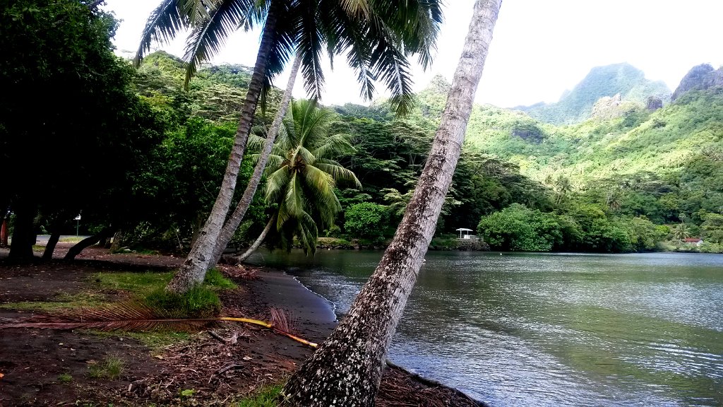 16 - Moorea - baie de Cook.jpg - User comments