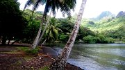 16 - Moorea - baie de Cook